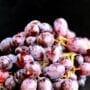 Close up of some red grapes, slick with dewy moisture.