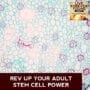 LFY 3 | Stem Cell