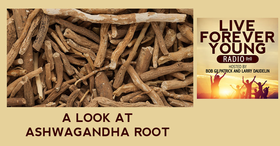 LFY 46 | Ashwagandha Root