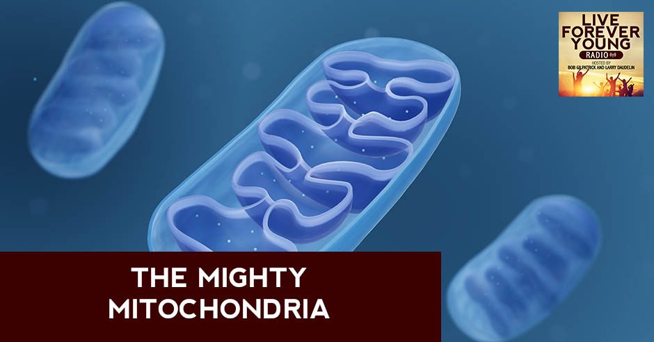 LFY 59 | Mitochondria
